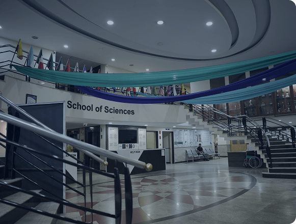 Faculty of Creative Arts and Design