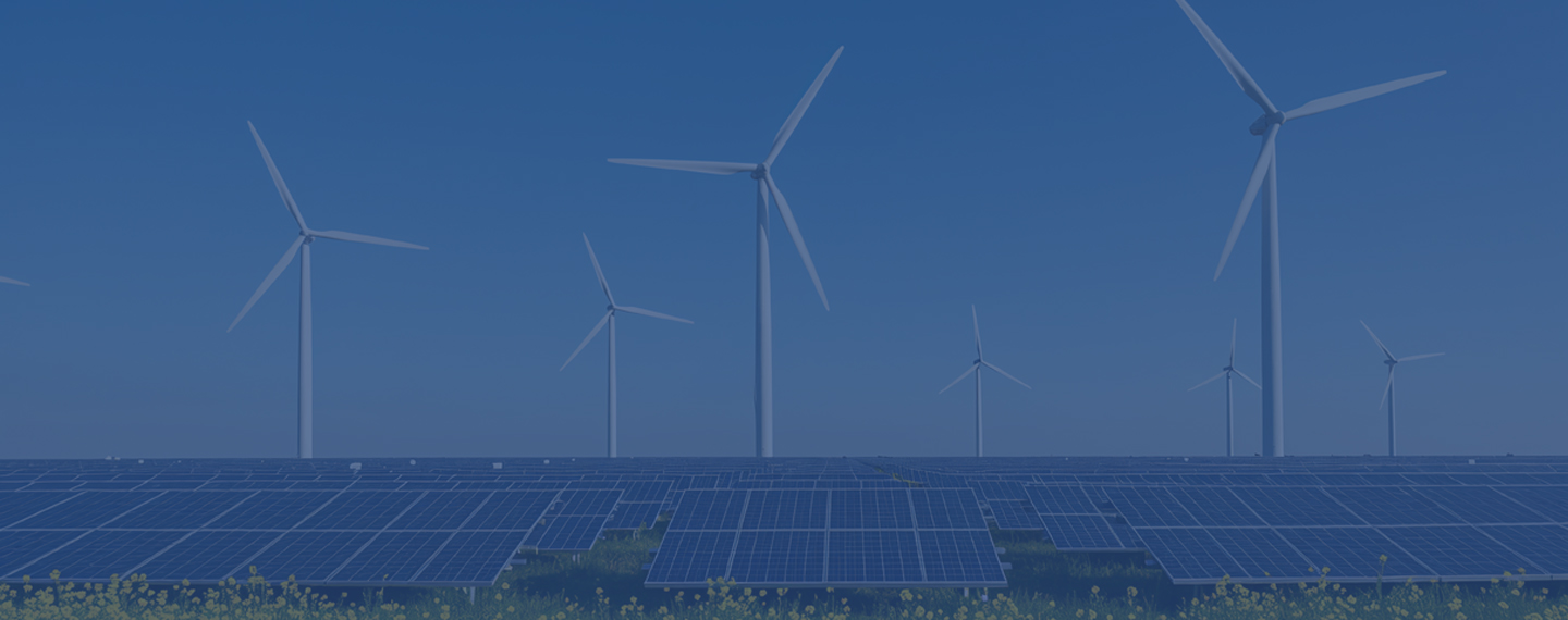 Renewable Energy with Minor in Physics / Computer Science / Energy Economics and Policies