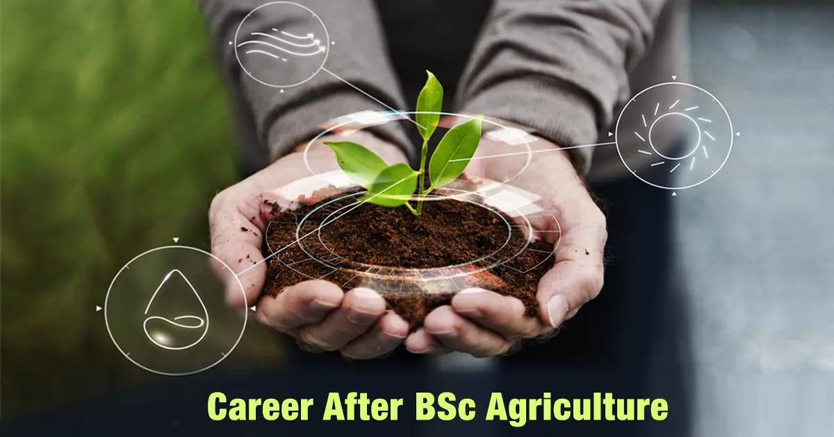 Career After BSc Agriculture: Jobs, Salary & Future Scope in India