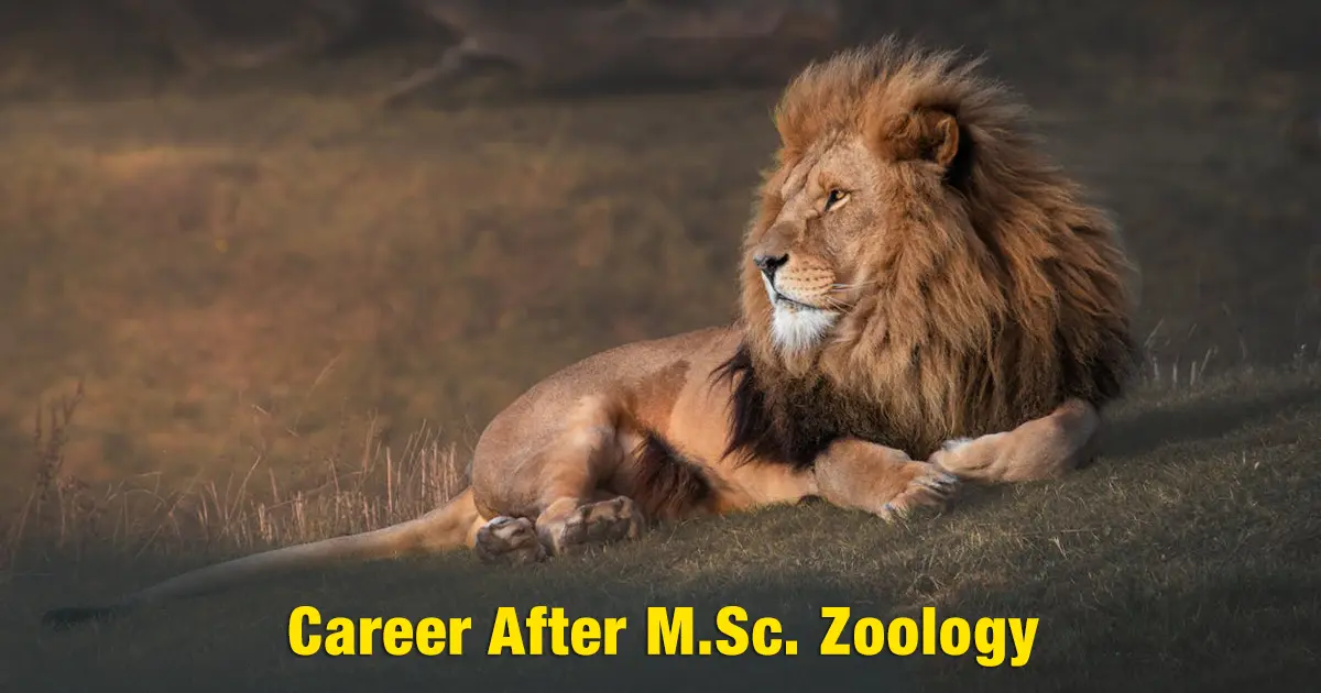 Career After M.Sc. Zoology: Jobs, Salary & Scope in India