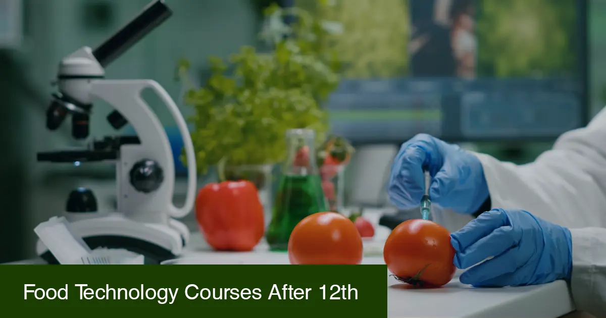 Food Technology Courses After 12th: Eligibility, Scope, and How to Become a Food Technologist in India
