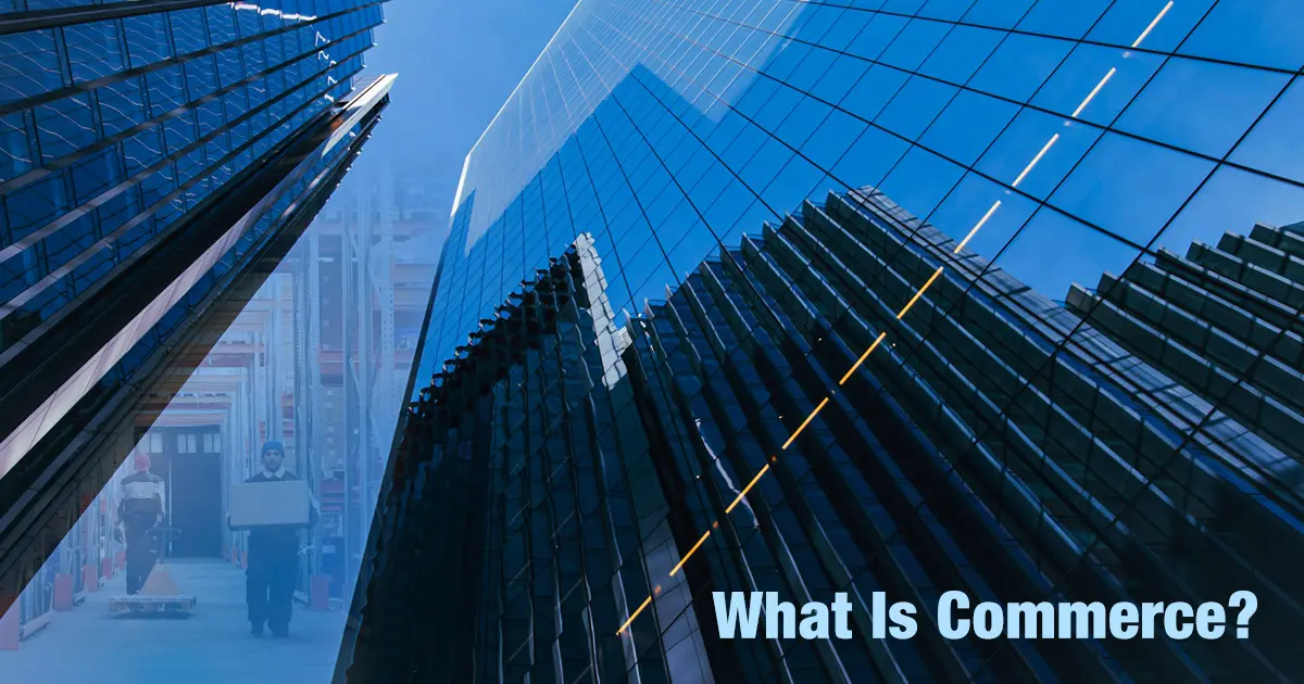 What Is Commerce? Functions, Branches, Scope, and Importance Explained