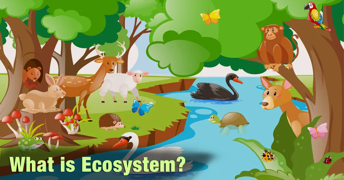 What is Ecosystem? Definition, Types, Structure, Functions & Importance Explained