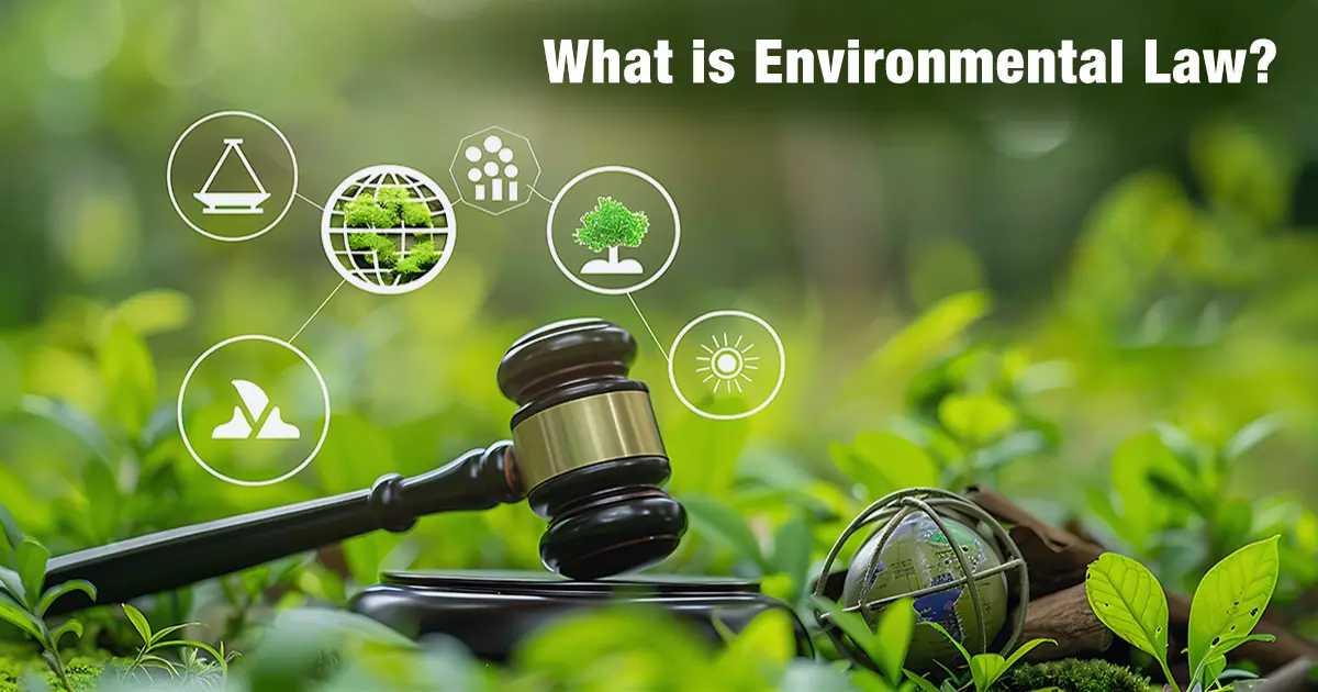 What is Environmental Law? Meaning, Types, Protection Laws & Future in India